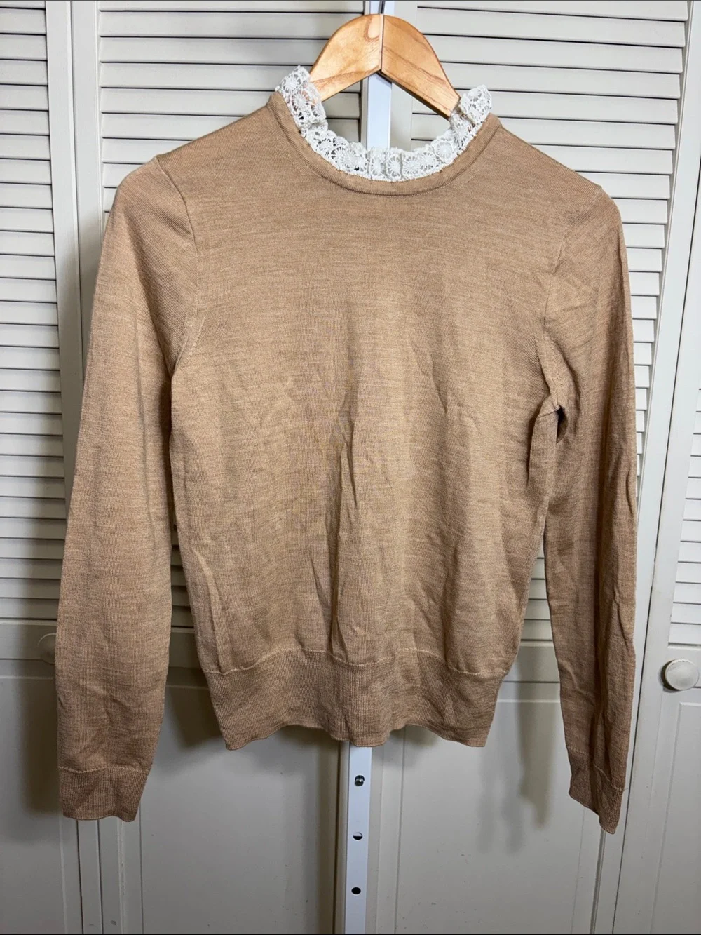 NWT J. Crew Women's Tippi Sweater with Lace Collar Detail Small